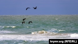 За словами обмудсмена, така ситуація наразі спостерігається насамперед на Арбатській стрілці, яка межує з анексованим Кримом