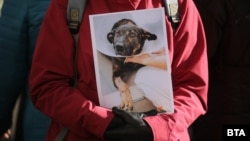 Протестиращ държи снимка на кучето Мечо