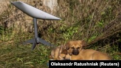 Si u bë Starlink i Elon Muskut aq i vlefshëm për Ukrainën