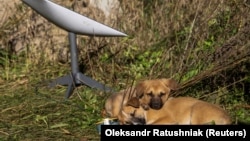 Fotogalerie | Cum a devenit Starlink-ul lui Elon Musk de neprețuit pentru luptătorii ucraineni