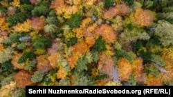 Осінь у Карпатах