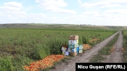 Hlinoaia-Edinet-septembrie 2021