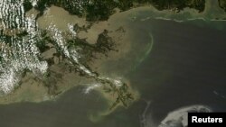 Побережье Луизианы в большой опасности