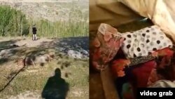 24-апрелде соцтармактарга тараган видеодон алынган сүрөт. 