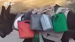 Жители Куляба жалуются на отсутствие в городе воды: некоторые запрягают ослов и возят воду из озера сами