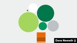 Veszélyben az erdők