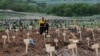Oamenii stau în mijlocul mormintelor nou făcute dintr-un cimitir din în timpul conflictului dintre Ucraina și Rusia în așezarea Starîi Krîm, de la marginea Mariupolului - 22 mai 2022