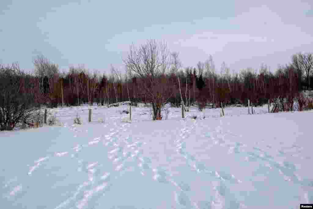 Gjurmët e këmbëve në dëborë nga zona e pyllëzuar kufitare në pronën e Christopher Parent, e cila gjendet në kufirin Kanada-SHBA, në Çurubusko, Nju-Jork, 23 janar 2025. Duke jetuar përgjatë kësaj shtrirje të largët të kufirit, Christopher Prindi thotë se ka parë Patrulla Kufitare të SHBA-së që ndjekin migrantët, dhe gjithashtu sheh rregullisht gjurmë të freskëta në dëborë që dalin nga zona e pyllëzuar kufitare, të cilat ai i merr si provë se migrantët po lëvizin si në veri në Kanada, ashtu edhe në jug në Shtetet e Bashkuara.