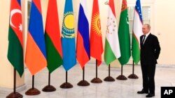 Владимир Путин, Cаммит СНГ в Петербурге, 2021