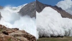 Мөңгүлөрдүн азайышы: Альпы менен Жуукудагы көчкү