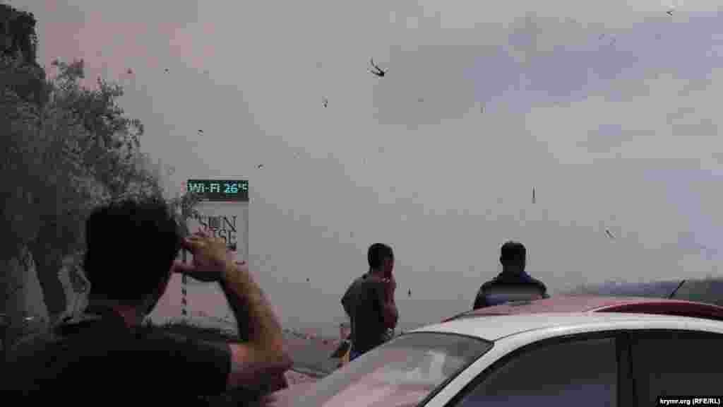 Под Феодосией горят заросли камыша, 15 июня 2017 года