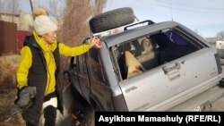 Талды-Коргондо окко учкан Кайрат Нургалиевдин жубайы Лаура Нургалиева.