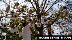 از تجمعات ایرانیان ساکن شیلی در حمایت از اعتراضات ایران