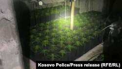 Fotografi e shpërndarë nga Policia e Kosovës lidhur me laboratorët e drogës të zbuluar në veri të Kosovës. 