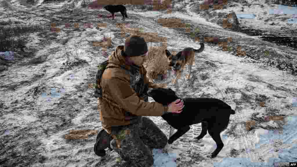 Láthatóan nemcsak az emberek, de &bdquo;legjobb barátaik&rdquo; is értékelik a jó szót és a meleg falatot