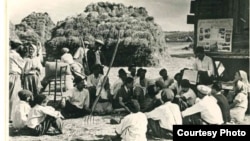 Cititul ziarului la arie de către țărani cooperatori la căminul cultural Livezeni/regiunea Dolj, în 1950. Fotografie de propagandă din arhivele Partidului Muncitoresc Român (denumirea anterioară celei de Partidul Comunist Român, păstrată până în decembrie 1989). Arhivele Naționale.