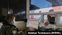 Чек арадагы бажы көзөмөлү. Иллюстрация сүрөт.