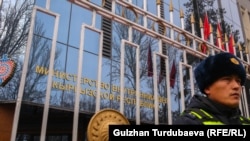 ИИМ. Иллюстрациялык сүрөт.