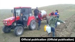 Ноокен районундагы түшүмдүүлүгү аз жерлерге бак тигилип жатат.