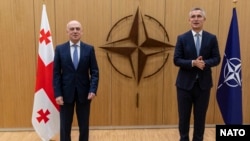 Давид Залкалиани и Йенс Столтенберг