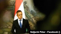 Ніколенко відповів Сійярто: «Будапешт мав можливість допомогти вибороти мир в Україні та Європі, але став на іншу сторону історії»