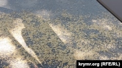 Міністр Роберт Телус зауважив, що «на основі, яка є на даний момент, польське сільське господарство ніколи не переможе українське»