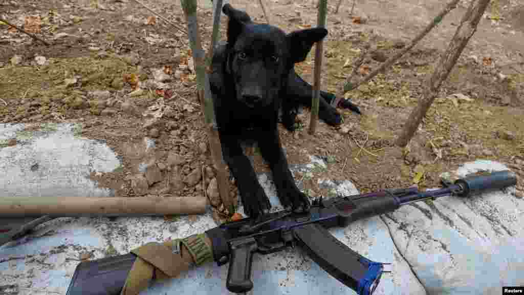 Odin, aki épp egy fegyver mellett fekszik Mikolajiv régióban, ukrán katonákkal él a frontvonalban elfoglalt helyükön