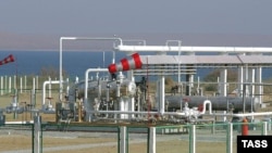 Кони гази "Ҳавзак", воқеъ дар наздикиҳои Бухоро