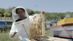 Nuk gjeti punë në shtet, krijoi biznes me bletë