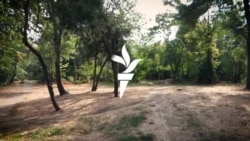 Parcurile din București au ajuns într-o stare deplorabilă