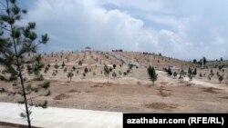 За ініціативою, в цьому десятилітті має бути посаджено 1 трильйон дерев за фінансової участі бізнесу, урядів і благодійників