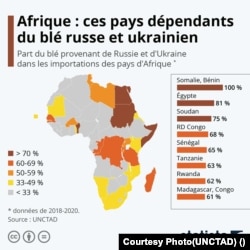 Statele africane dependente de grâul ucrainean și rusesc.
