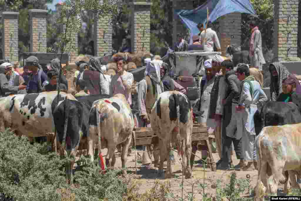 Покупці й продавці торгуються за ціну на тварин у кабульському парку Чамане-Хазурі &ndash; зазвичай спортивному й дитячому майданчику, який перетворюється на ринок тваринництва перед святом Ід аль-Адха