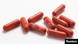 За заявами керівництва МОЗ, торік Україна законтрактувала 300 тисяч курсів «Молнупіравіру»