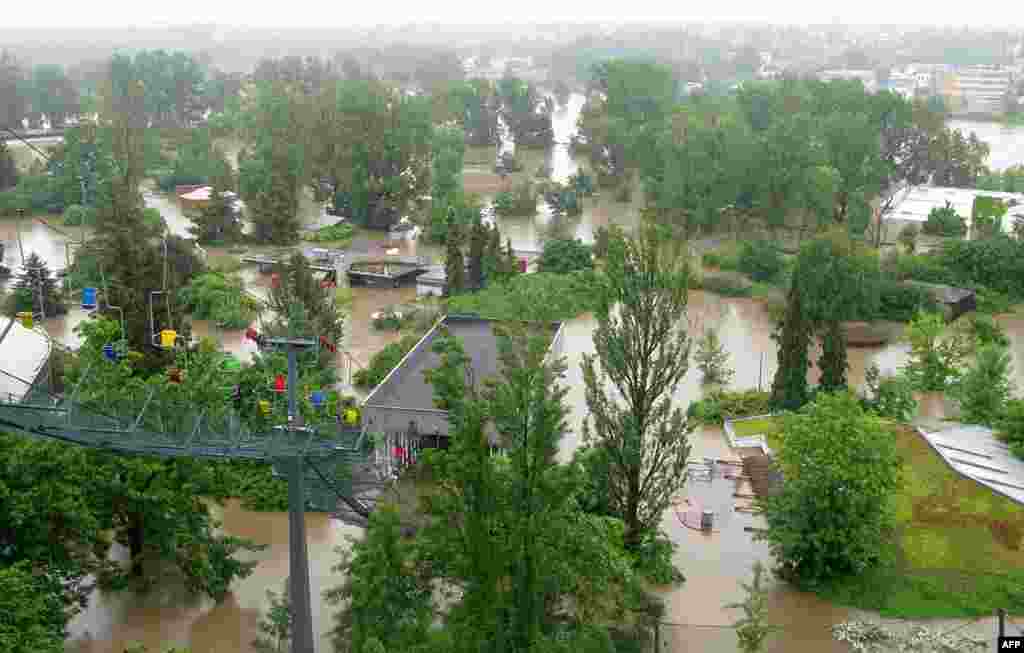 Češka - Praški ZOO, 3. juni 2013. Foto: AFP PHOTO / Jan Marchal 