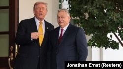 Прэзыдэнты ЗША і Вугоршчыны. 7 лістапада 2025ю 