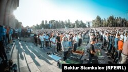 Иллюстрациялык сүрөт. 2019-жыл. 