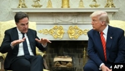 Генсекретар НАТО Марк Рютте під час зустрічі з президентом США Дональдом Трампом в Овальному кабінеті Білого дому. Вашингтон, 13 березня 2025 року