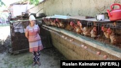 Иллюстративное фото.