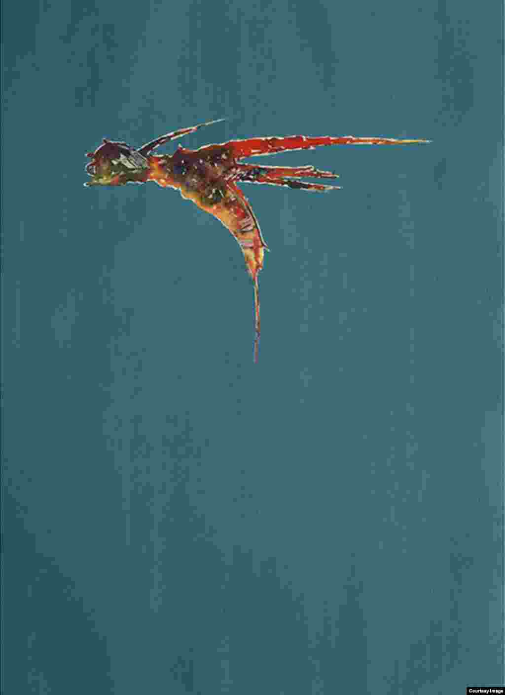 ხედი ღამით I. აკვარელი. 2013 წელი