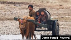 Ilustrativna fotografija
