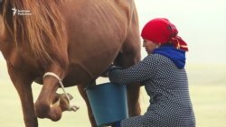 Менин баатыр жеңем. Улан Эгизбаевдин акыркы тасмасы