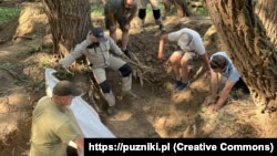 Спільна українсько-польська експедиція у Пужниках у 2023 році. Світлина із сайту puzniki.pl