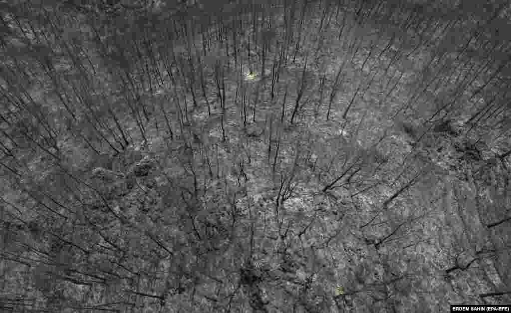 Фотографија од дрон покажува изгорени дрвја во рурална област во областа Мармарис&nbsp;