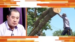 Жашыл шаар такыр шаарга айланабы?