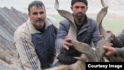 Иллюстративное фото