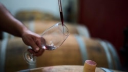 Виноград и госсубсидии. В чем истина грузинского вина?