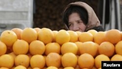 Оппозиция перед выборами активно заговорила о терроре бизнеса правящей партией