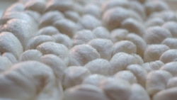 Tajna janjske pletenice