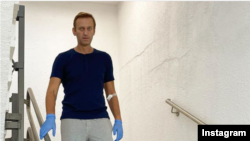 Алексей Навальный. 